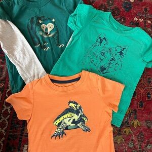 Tea collection size 3 Animal Graphic T-Shirts - Orange, Green, Teal